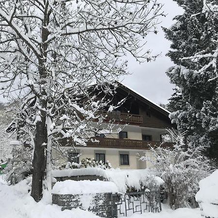 Amadee Appartements - Kaernten Card In Summer Included باد كلينكيرشهايم المظهر الخارجي الصورة